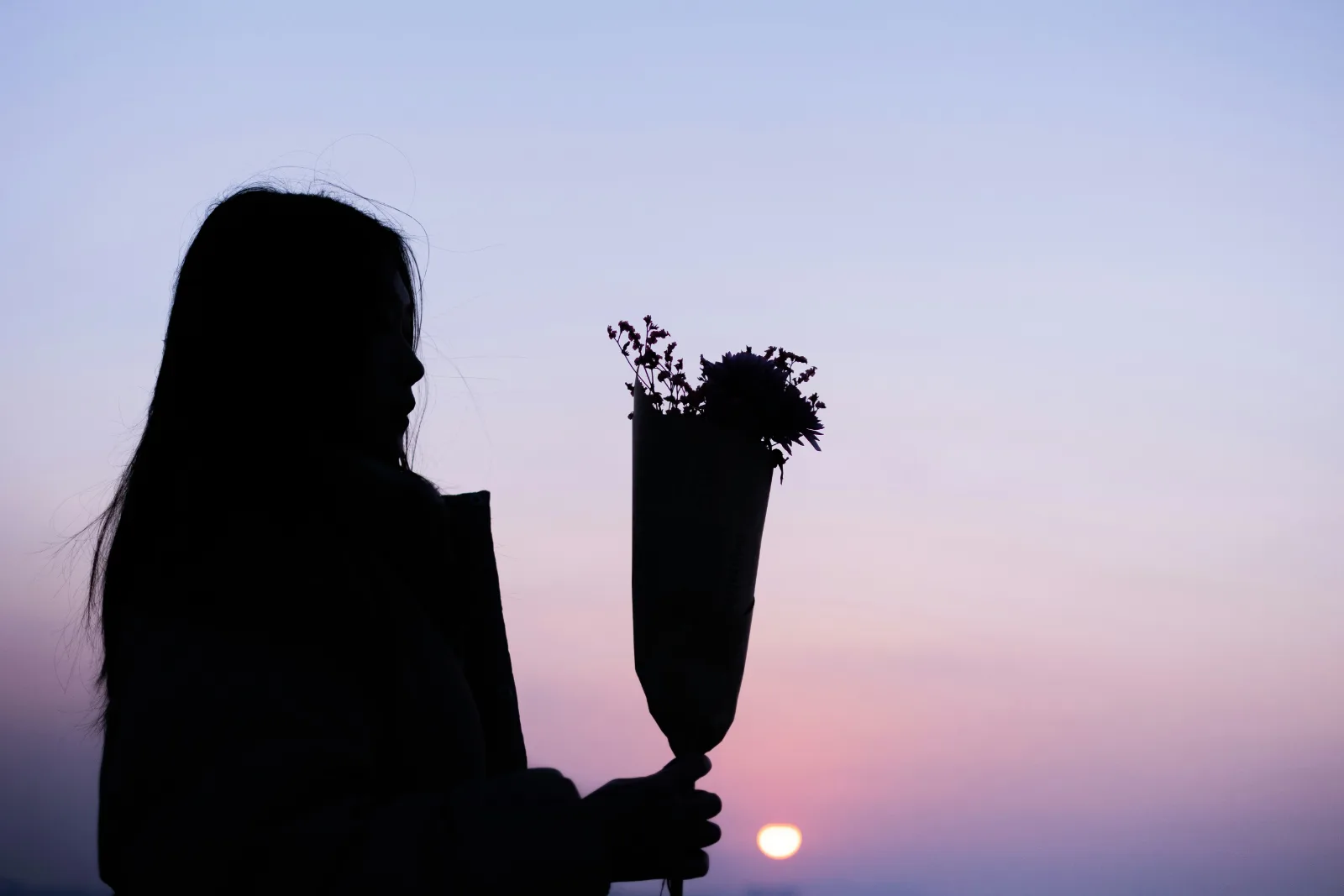 Sunflower Meaning & When to Give One