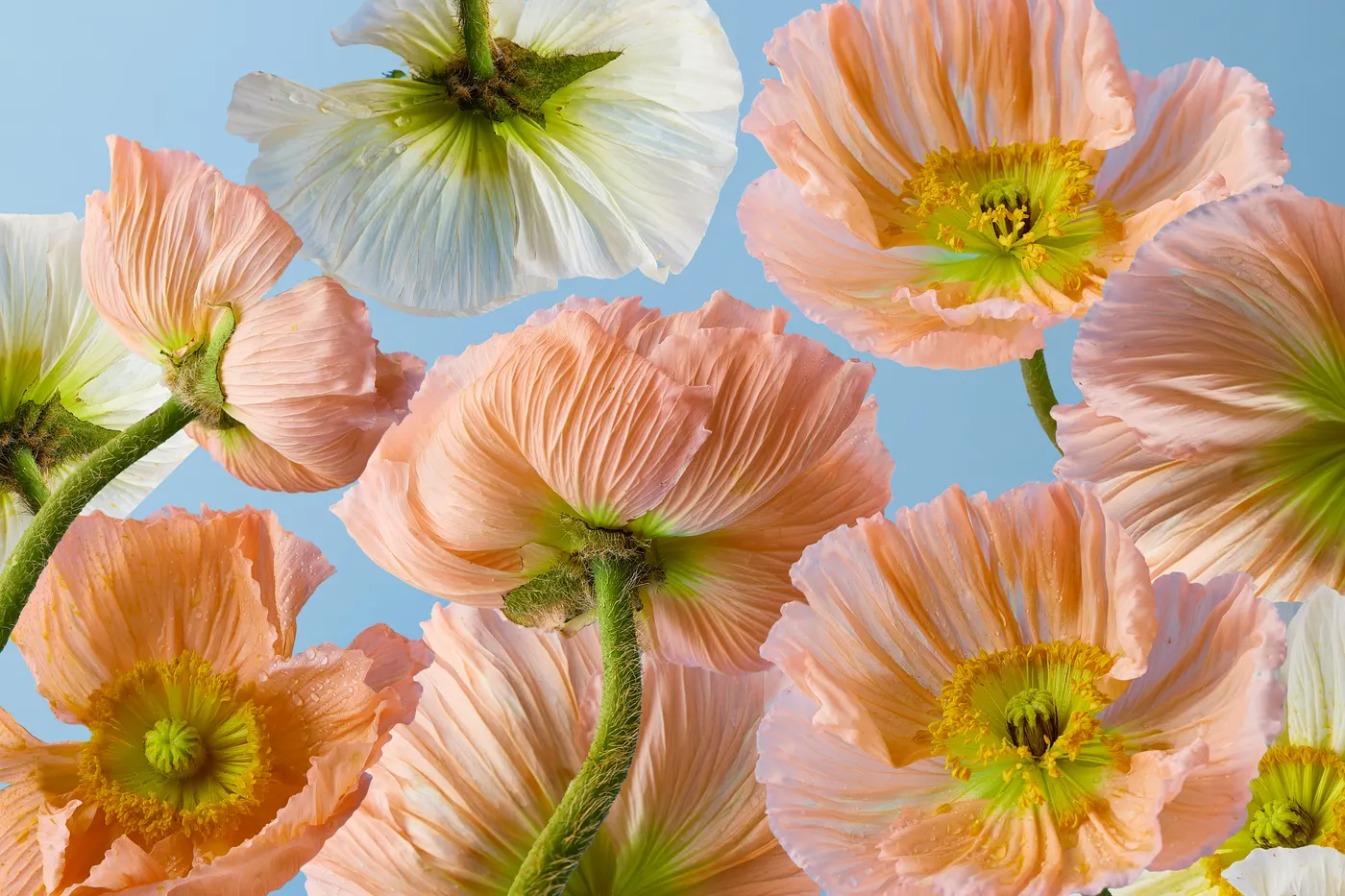 Wedding Flowers in Leeds: The Complete Guide