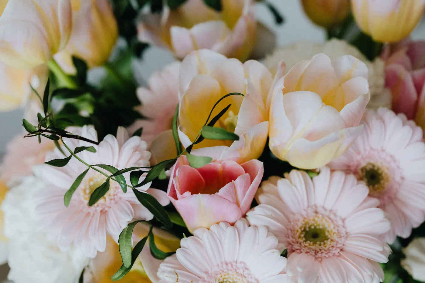 Vase Life by Flower Type: A Reference