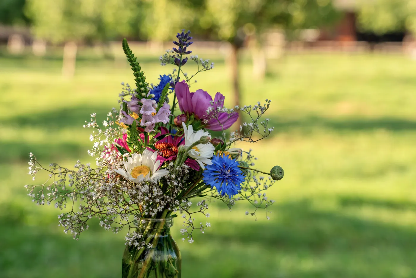 Why Everlasting Flowers Are the Greener Gift