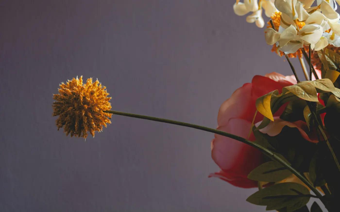 The Ultimate Flower Care Guide