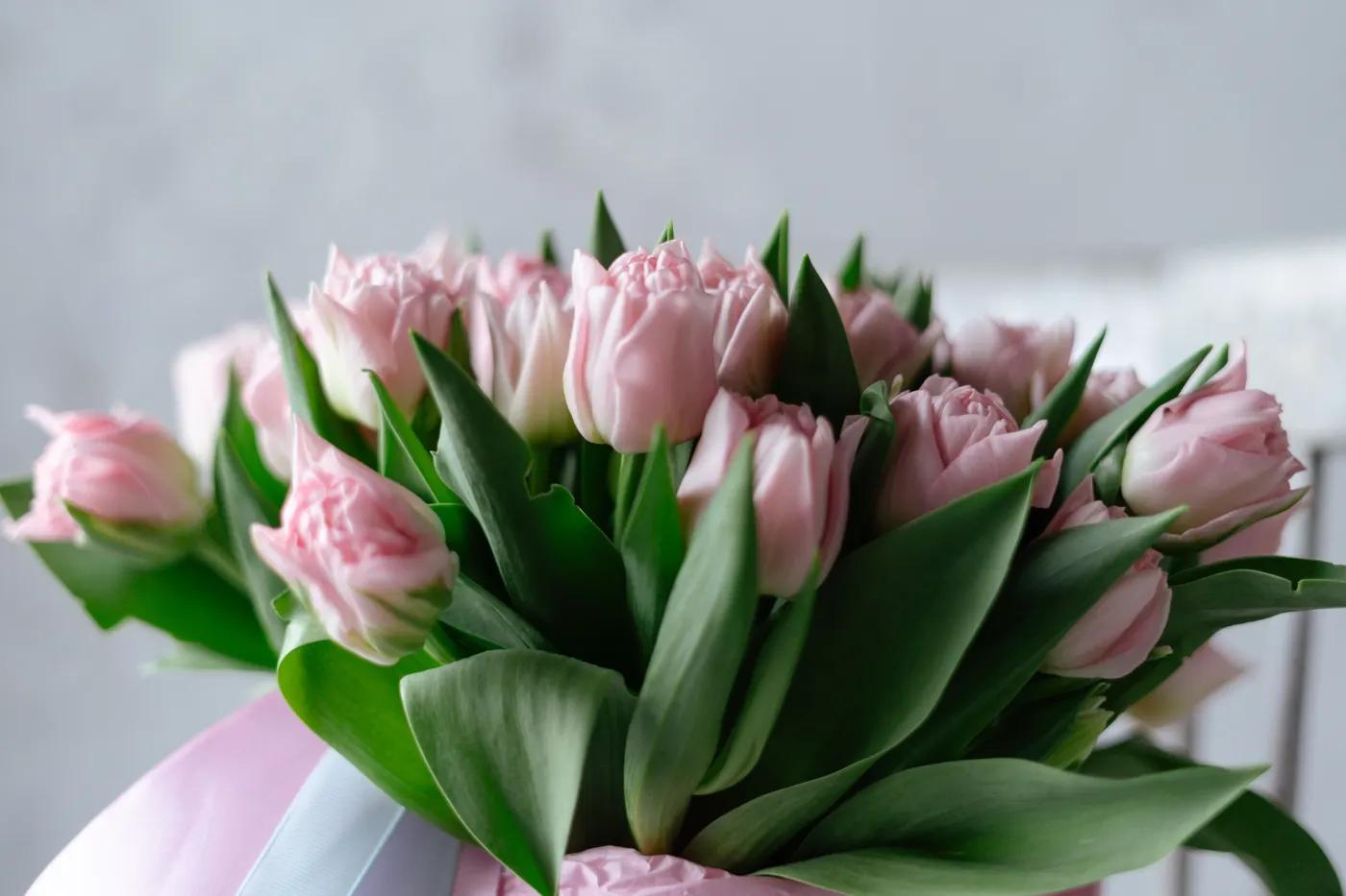 How to Revive Wilting Flowers