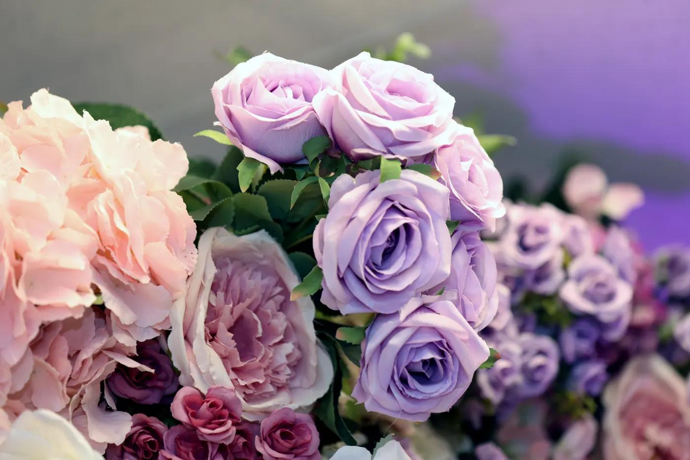 How to Choose the Right Flowers for Any Occasion
