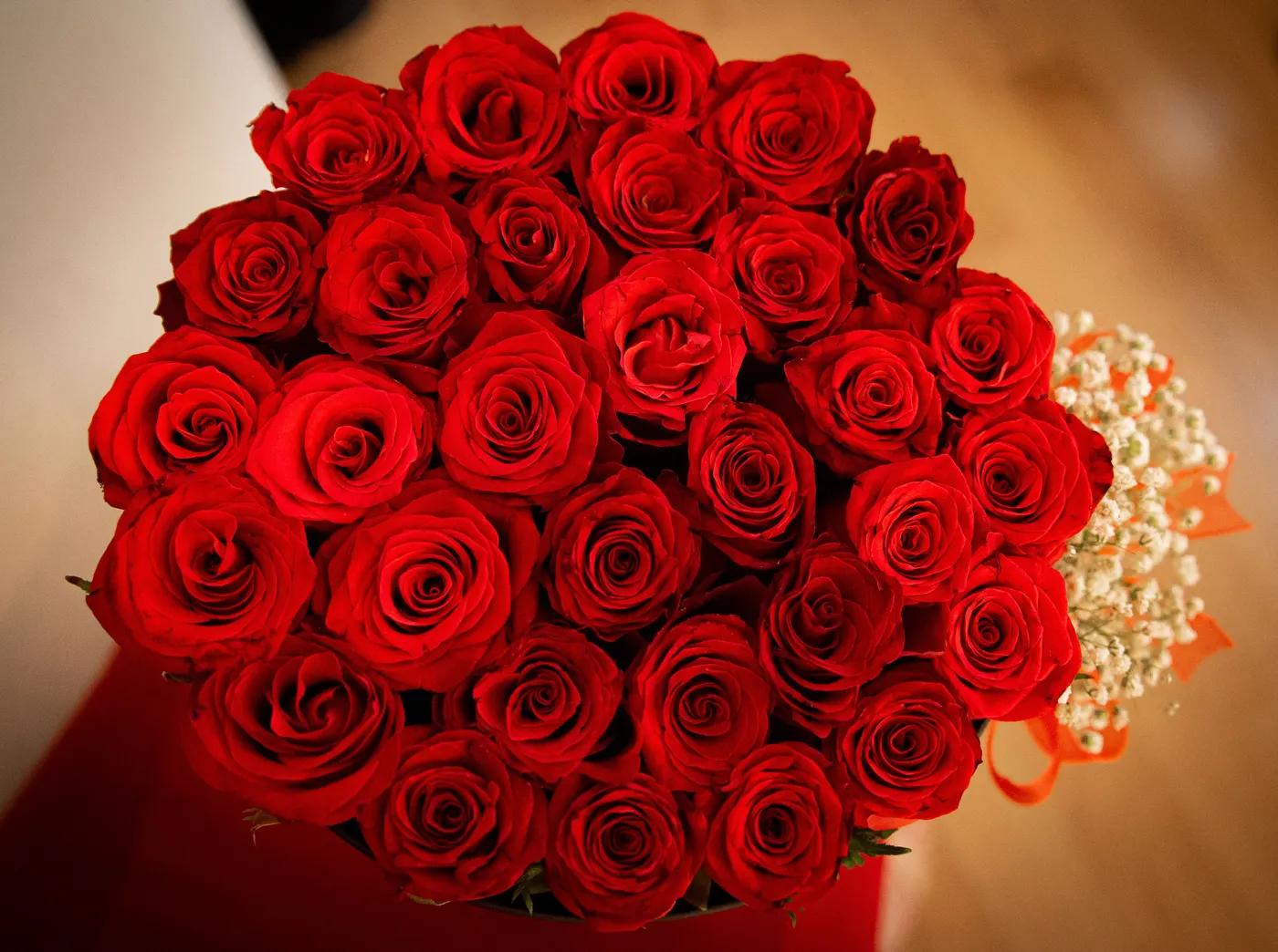 Flowers That Smell Amazing (and Ones That Don't)