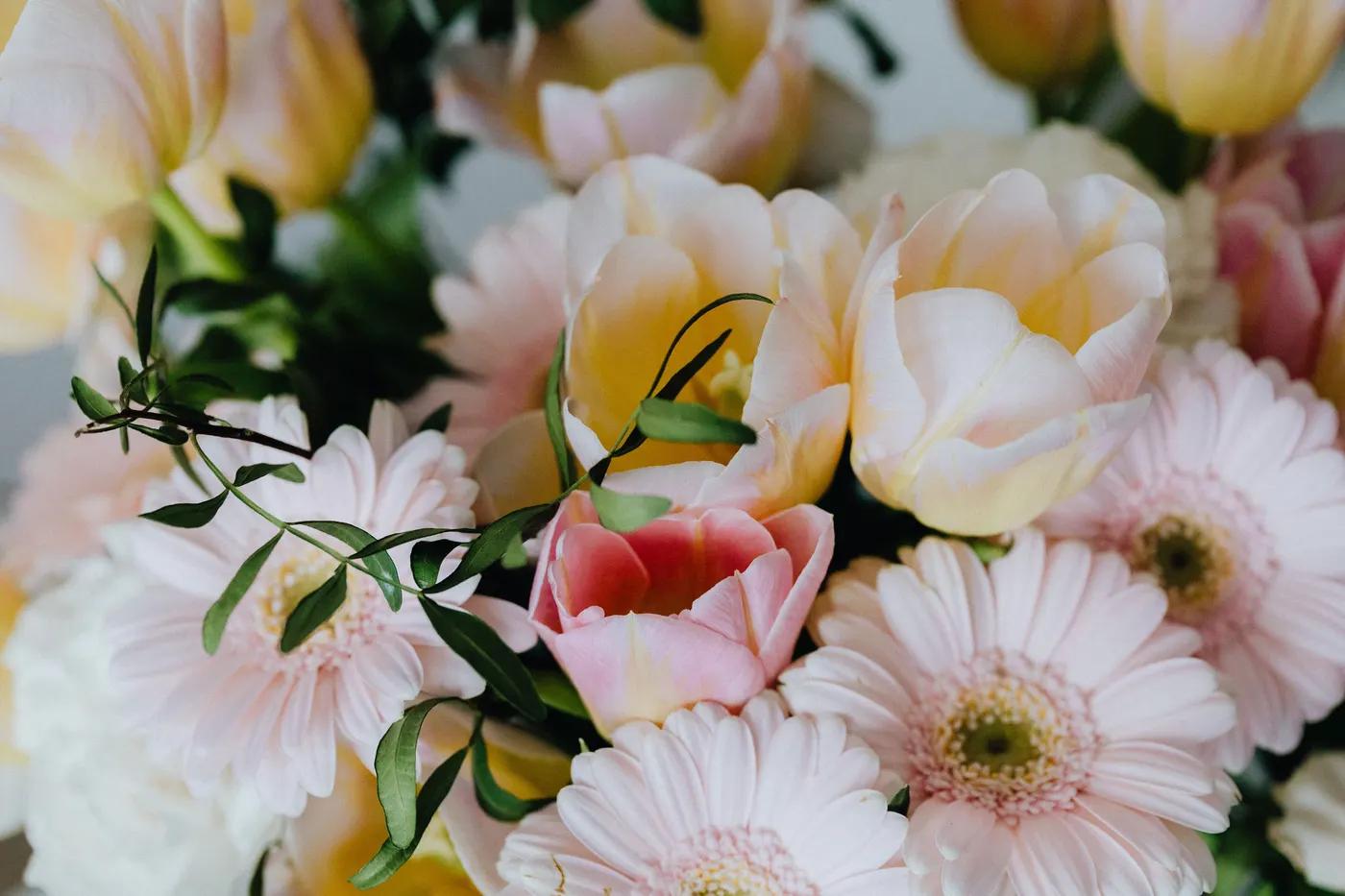 Vase Life by Flower Type: A Reference