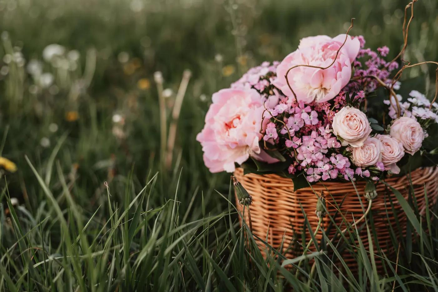 Flower-Care Myths: Sugar, Aspirin, Bleach & Lemonade