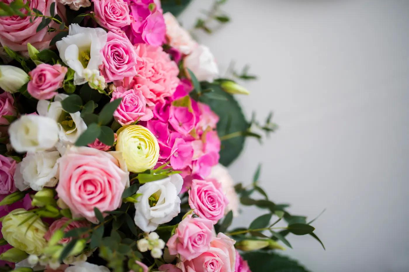 Carnation Meanings & Why They're Underrated