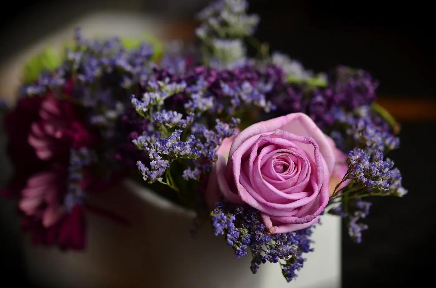 Pet-Safe & Allergy-Friendly Flowers: A Careful Guide