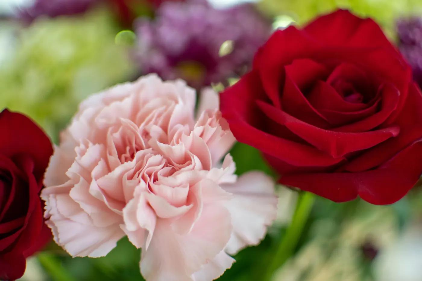Best Flowers for a Birthday