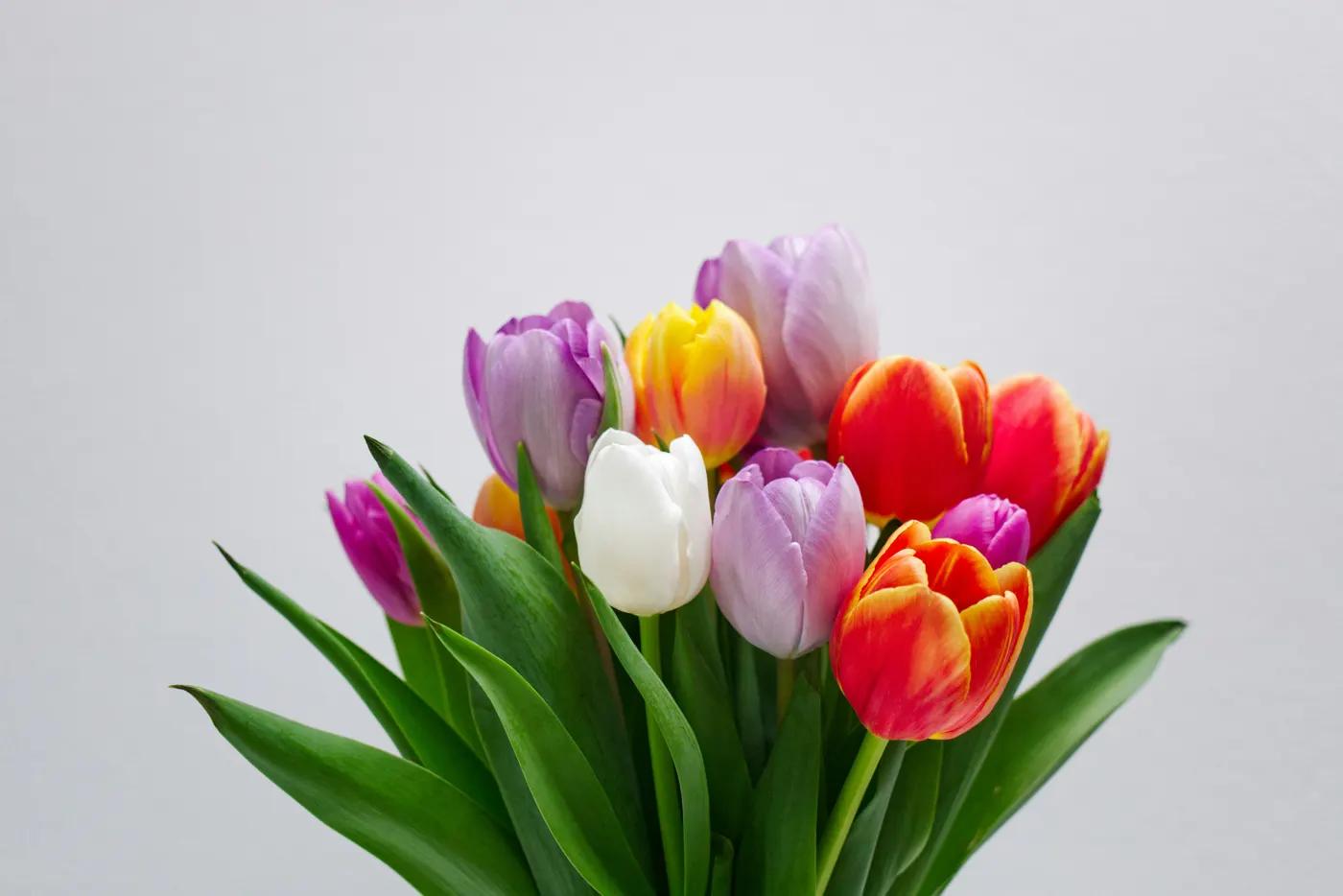 What Is a Mystery Bouquet & Why People Love Them